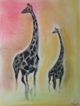 Giraffes on a Savannah
